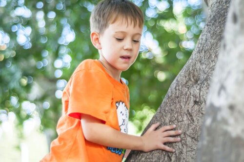 Niño subido a un árbol con miedo a las alturas.