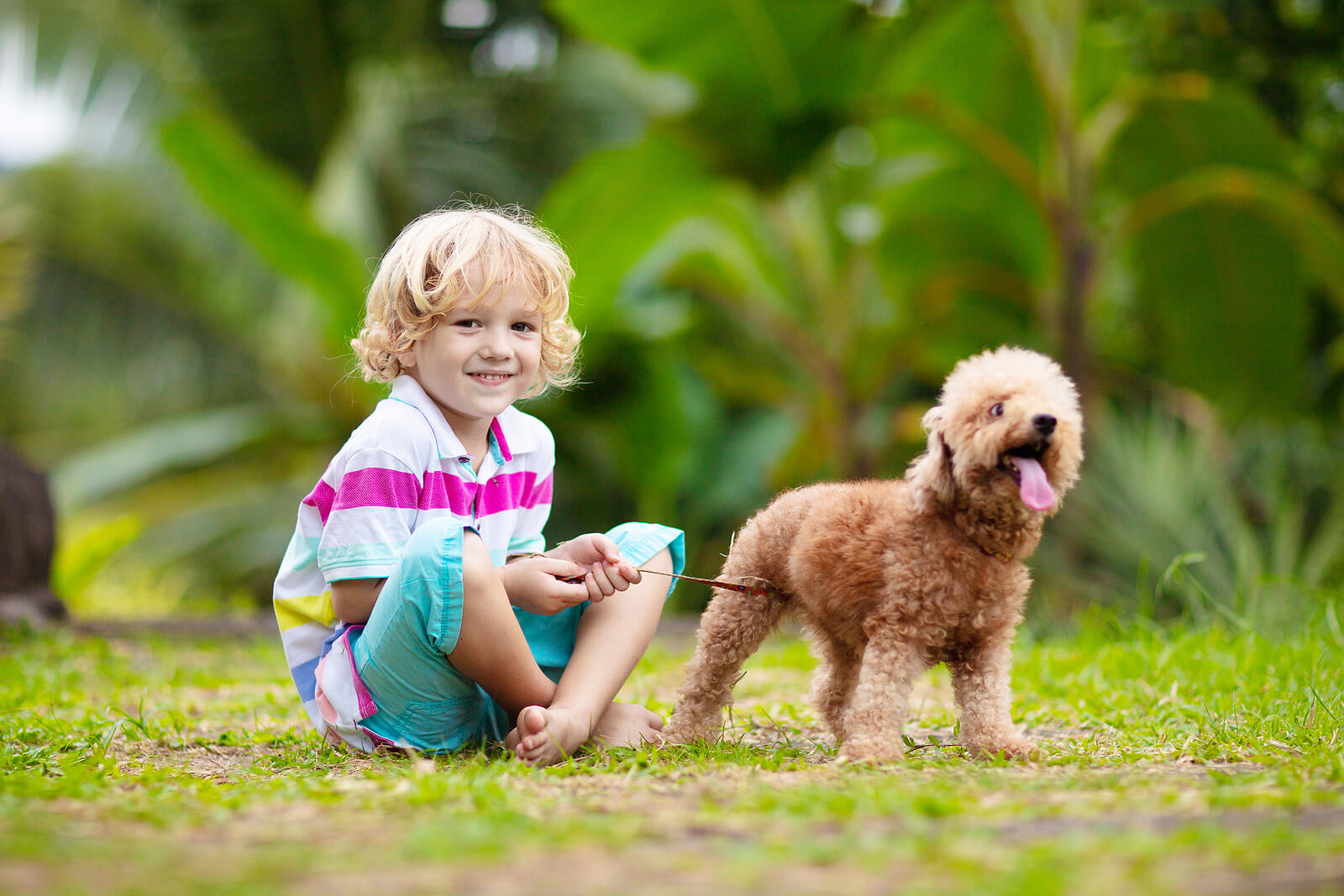 A child sitting on the ground holding his dog's leash.