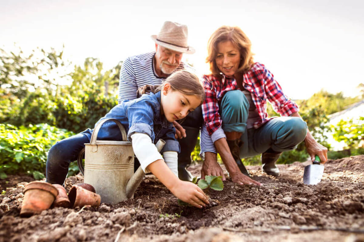 Abuelos con su nieta plantando hortalizas en el huerto familiar.