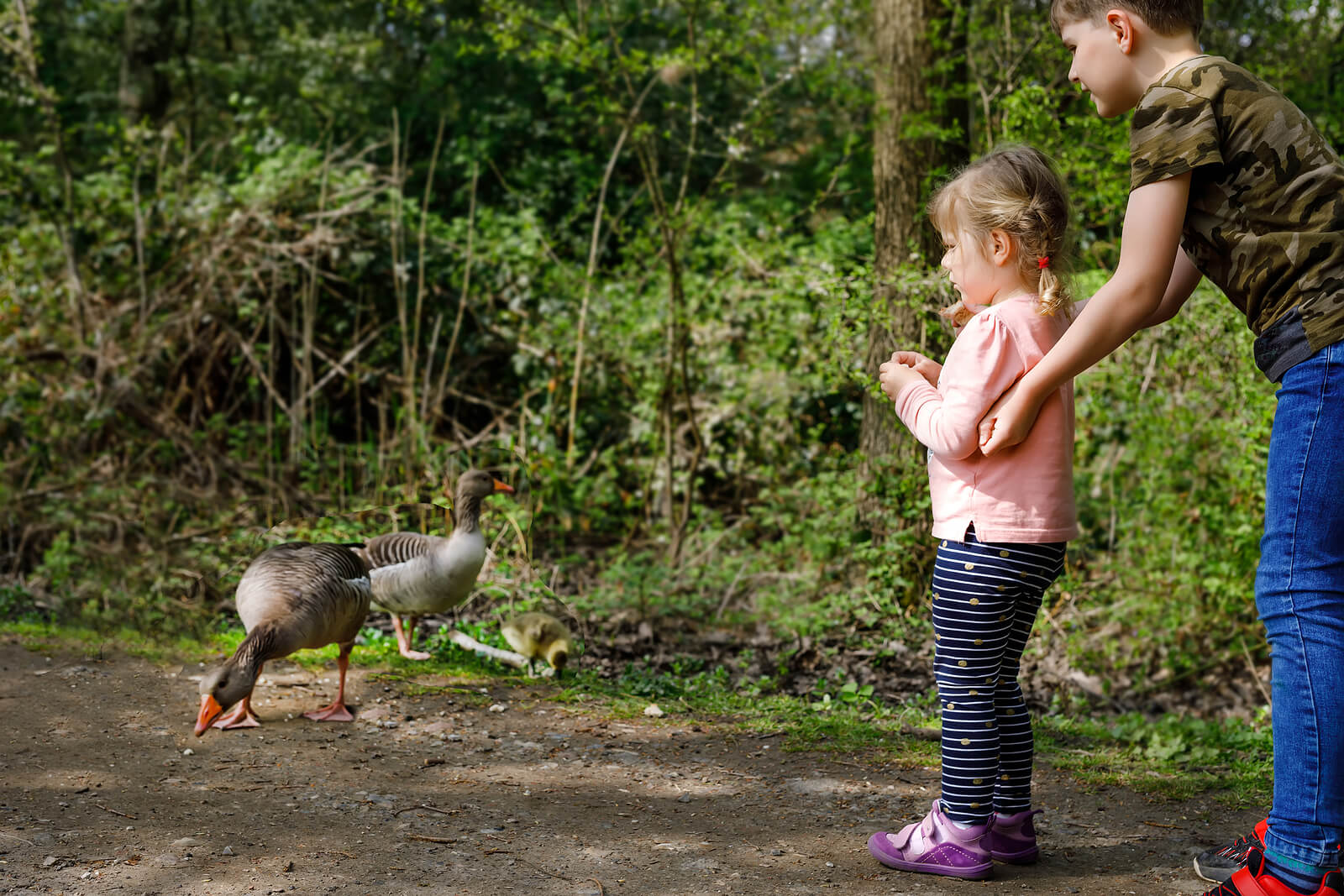 Niña dando de comer a unos pájaros para perder el miedo.