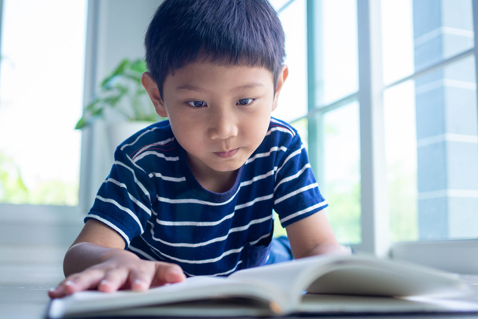 Niño haciendo deberes durante su tiempo de estudio.