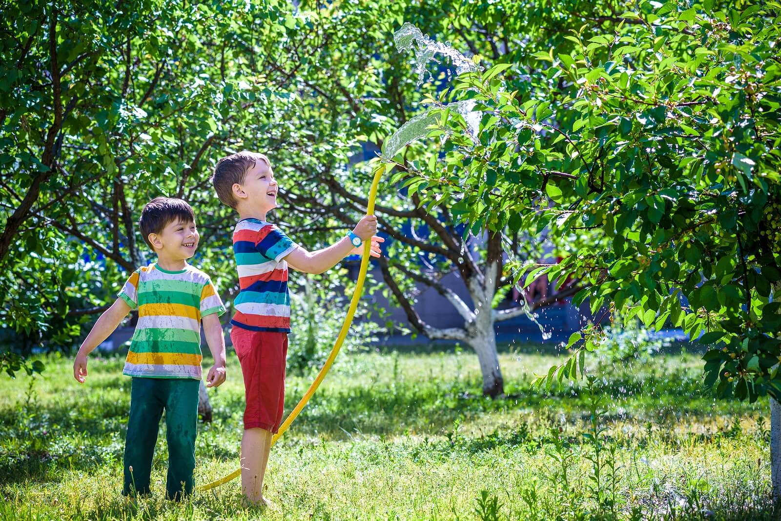 Niños regando los árboles y las plantas del jardín.