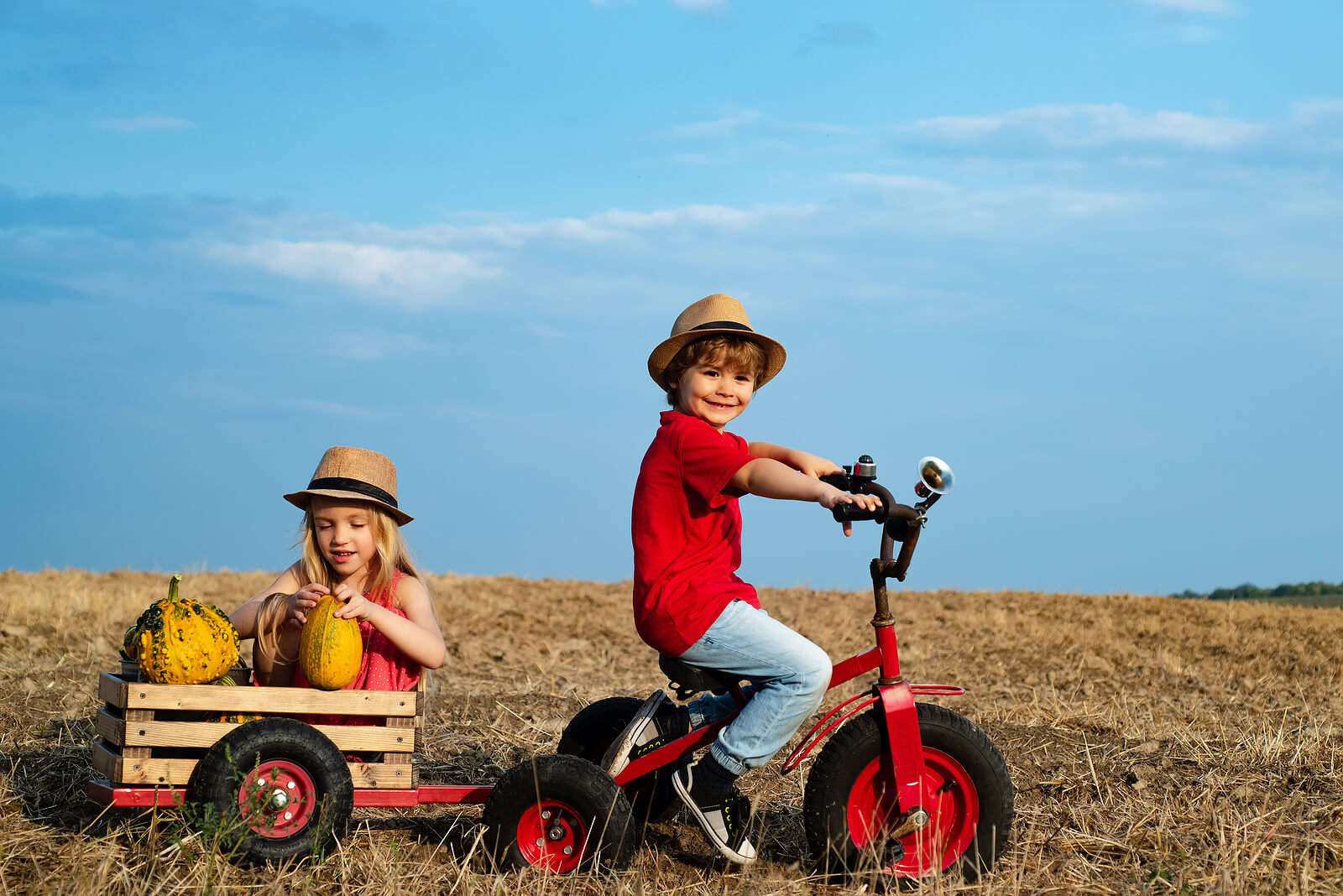 Niños disfrutando de un día en el campo.