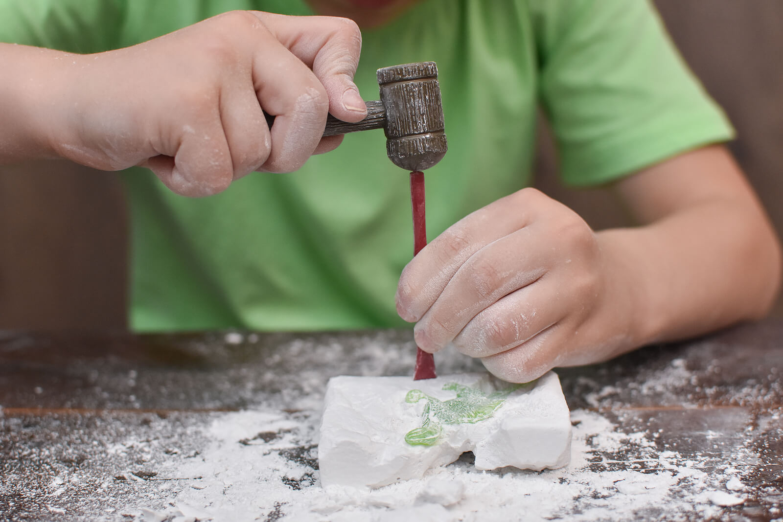 Niño haciendo un taller de geología con dinosaurios.