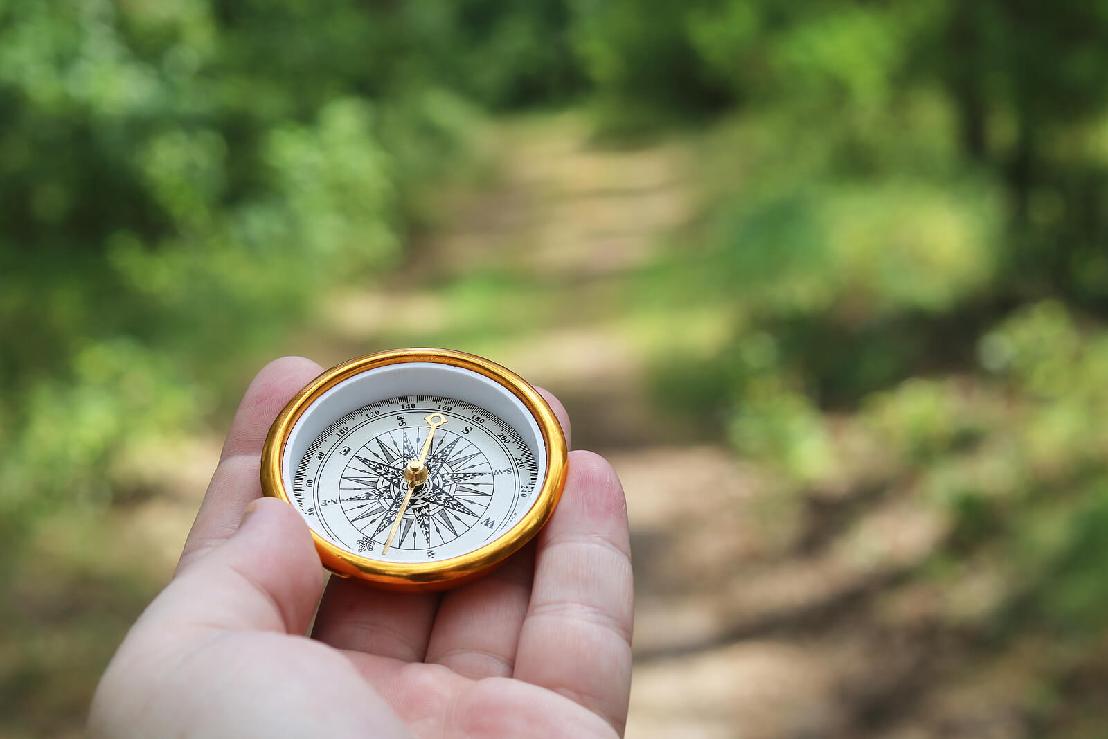 Cómo hacer una brújula casera para niños