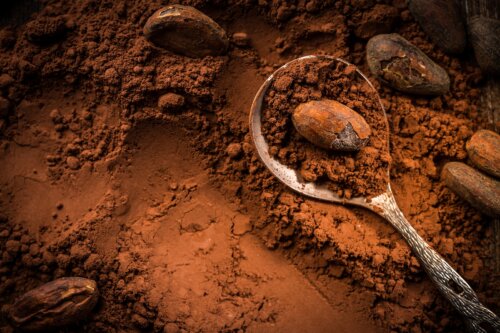 Beneficios del cacao en niños