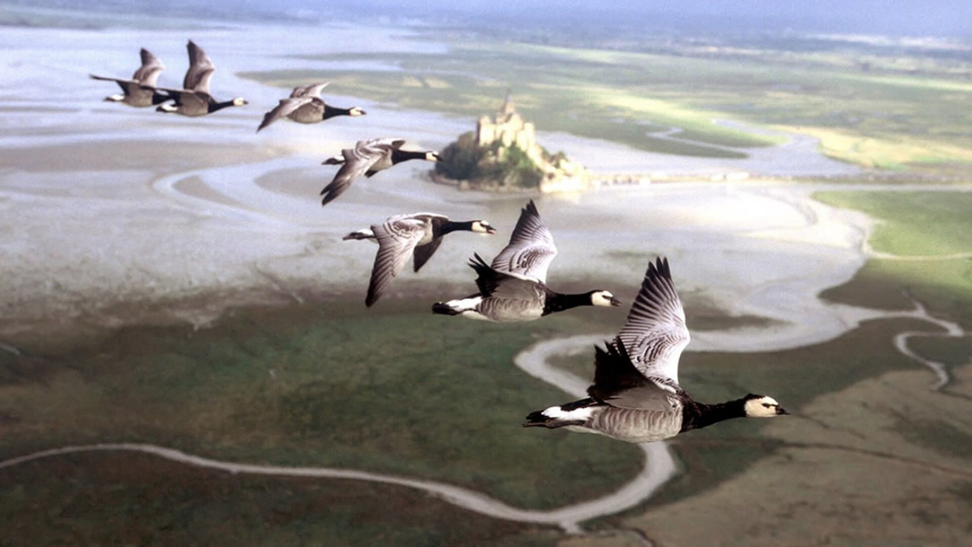 Imagen de una de las películas para la asignatura de Geografía.