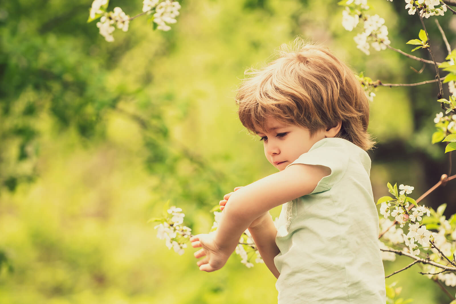 Enfant avec des piqûres de moustiques.