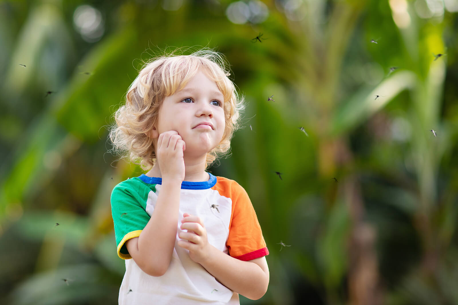 Alergia a las picaduras en bebés y niños
