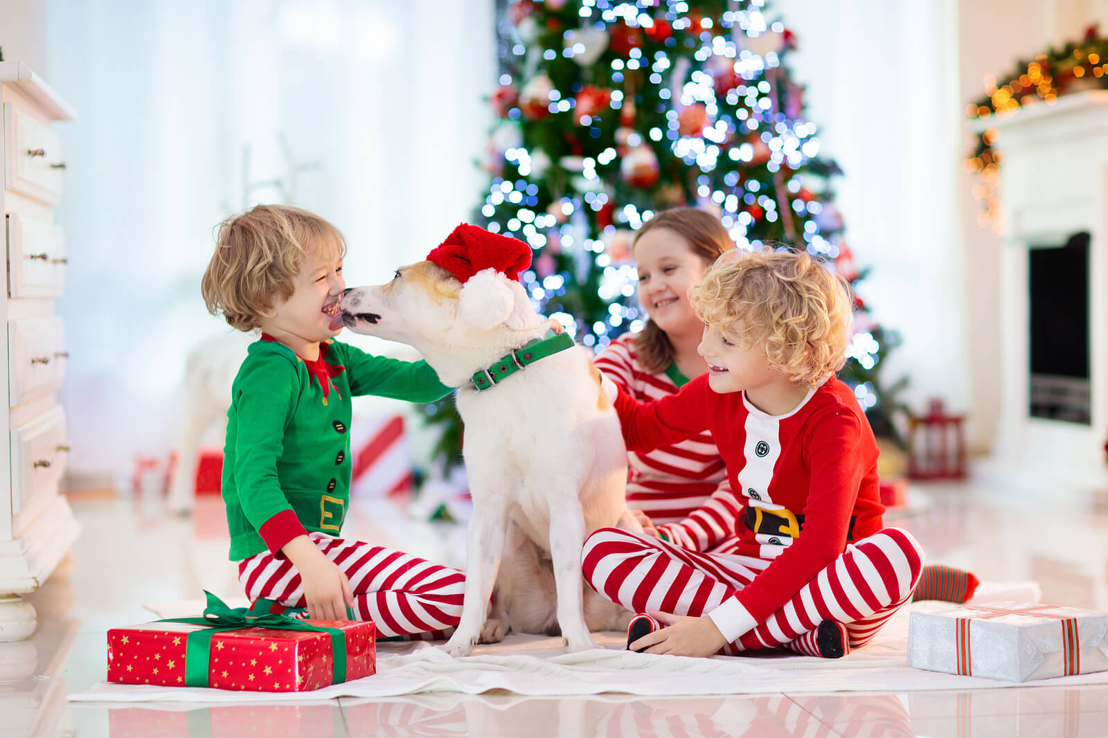 Niños aprendiendo los valores de la Navidad junto a su perro.