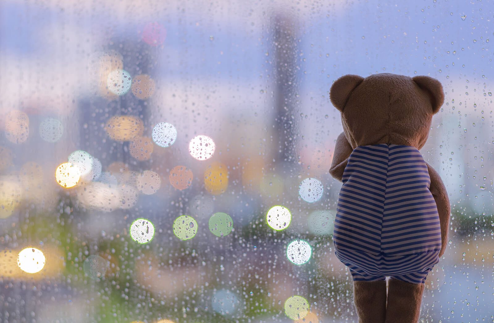 Osito de peluche mirando la lluvia a través de la ventana.