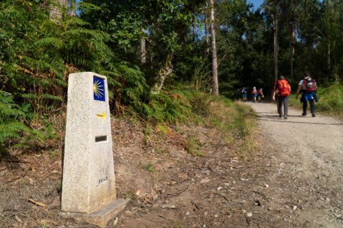 7 consejos para hacer el Camino de Santiago con niños