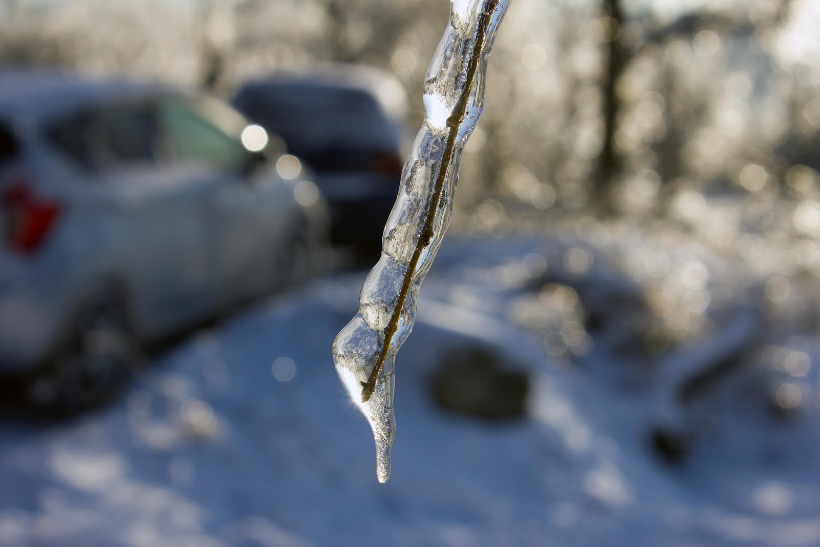 Estados de la materia para niños: ¿cómo explicarlo de forma divertida?