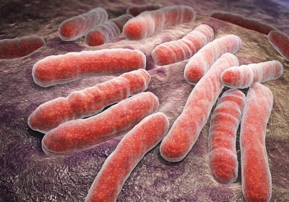 magnified bacteria.