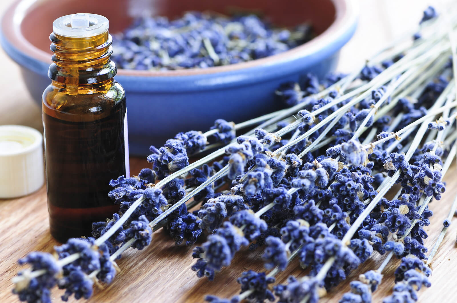 Aceites esenciales para bebés y niños de lavanda.