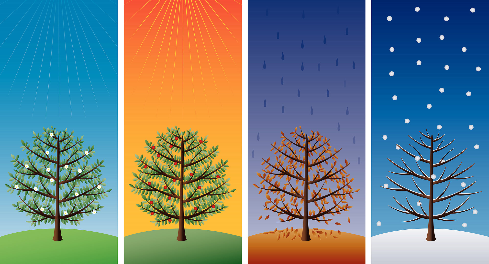 3 manualidades de las estaciones del año