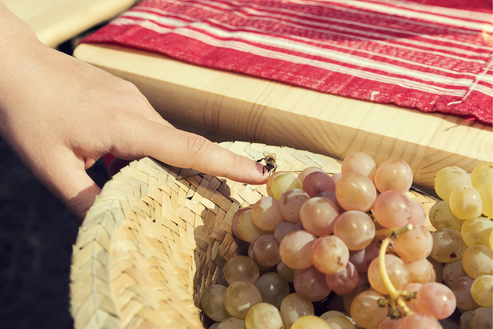 Niño con una abeja en el dedo para perder su miedo.