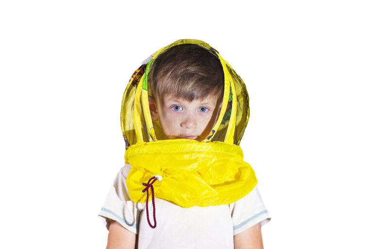 Mi hijo tiene miedo a las abejas ¿qué hago?