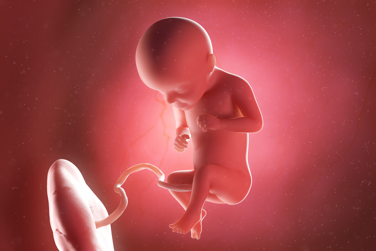 Semana 29 del embarazo: síntomas, desarrollo del bebé y recomendaciones