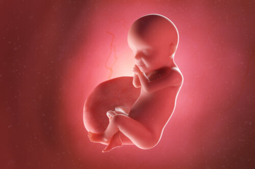 Semana 30 del embarazo: síntomas, desarrollo del bebé y recomendaciones