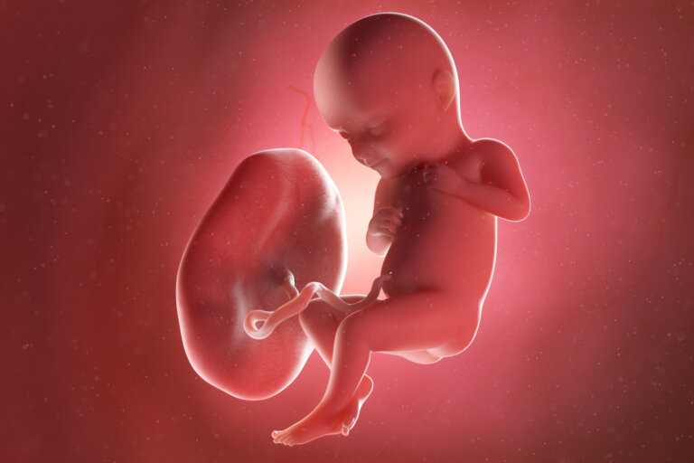 Semana 32 del embarazo: síntomas, desarrollo del bebé y recomendaciones