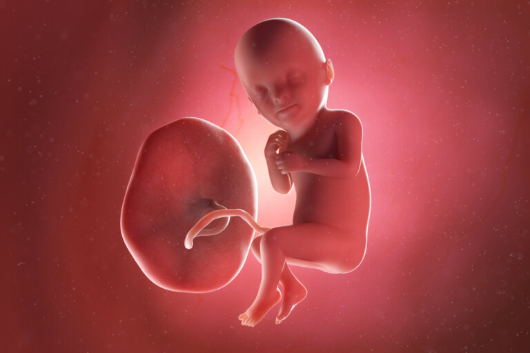 Semana 33 del embarazo: síntomas, desarrollo del bebé y recomendaciones