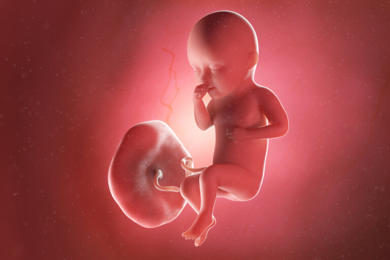 Semana 34 del embarazo: síntomas, desarrollo del bebé y recomendaciones