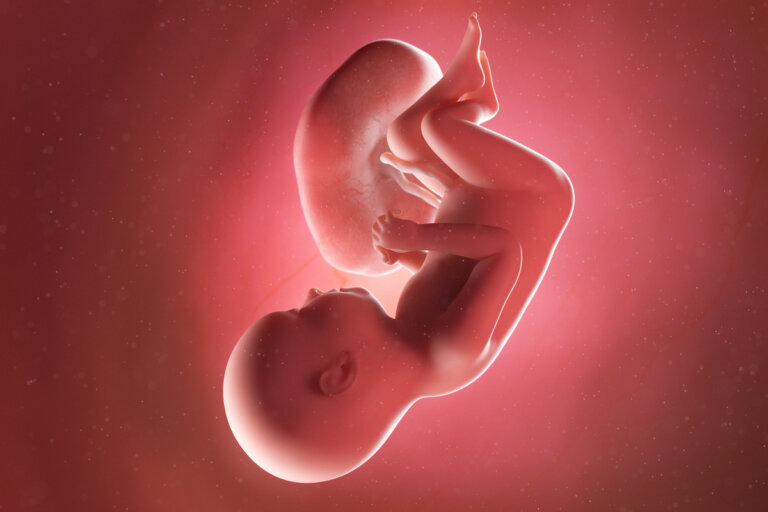 Semana 37 del embarazo: síntomas, desarrollo del bebé y recomendaciones