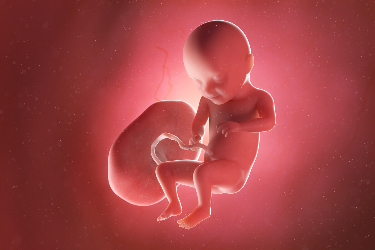 Semana 31 del embarazo: síntomas, desarrollo del bebé y recomendaciones