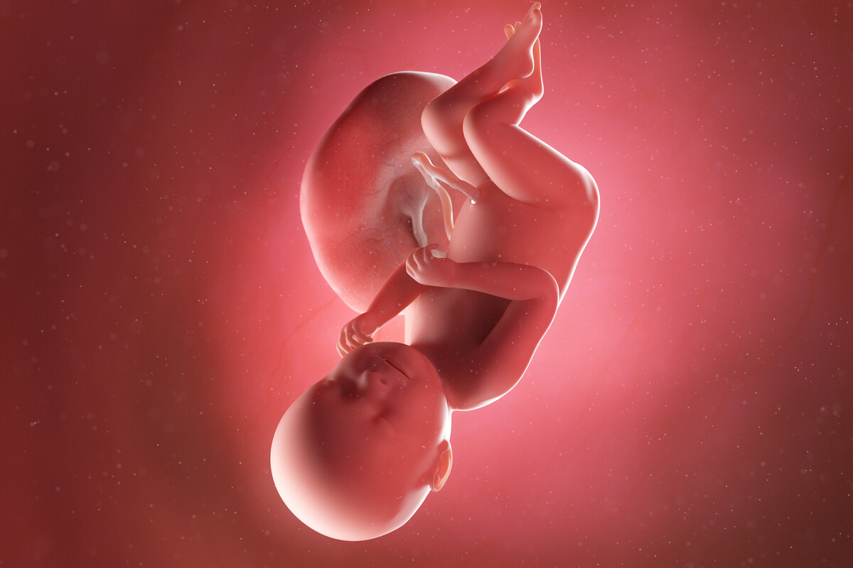 Semana 37 del embarazo síntomas, desarrollo del bebé y