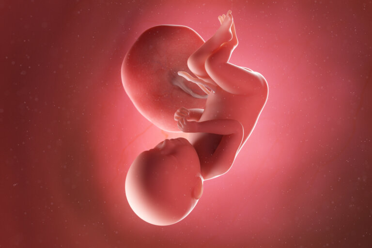 Semana 39 del embarazo: síntomas, desarrollo del bebé y recomendaciones