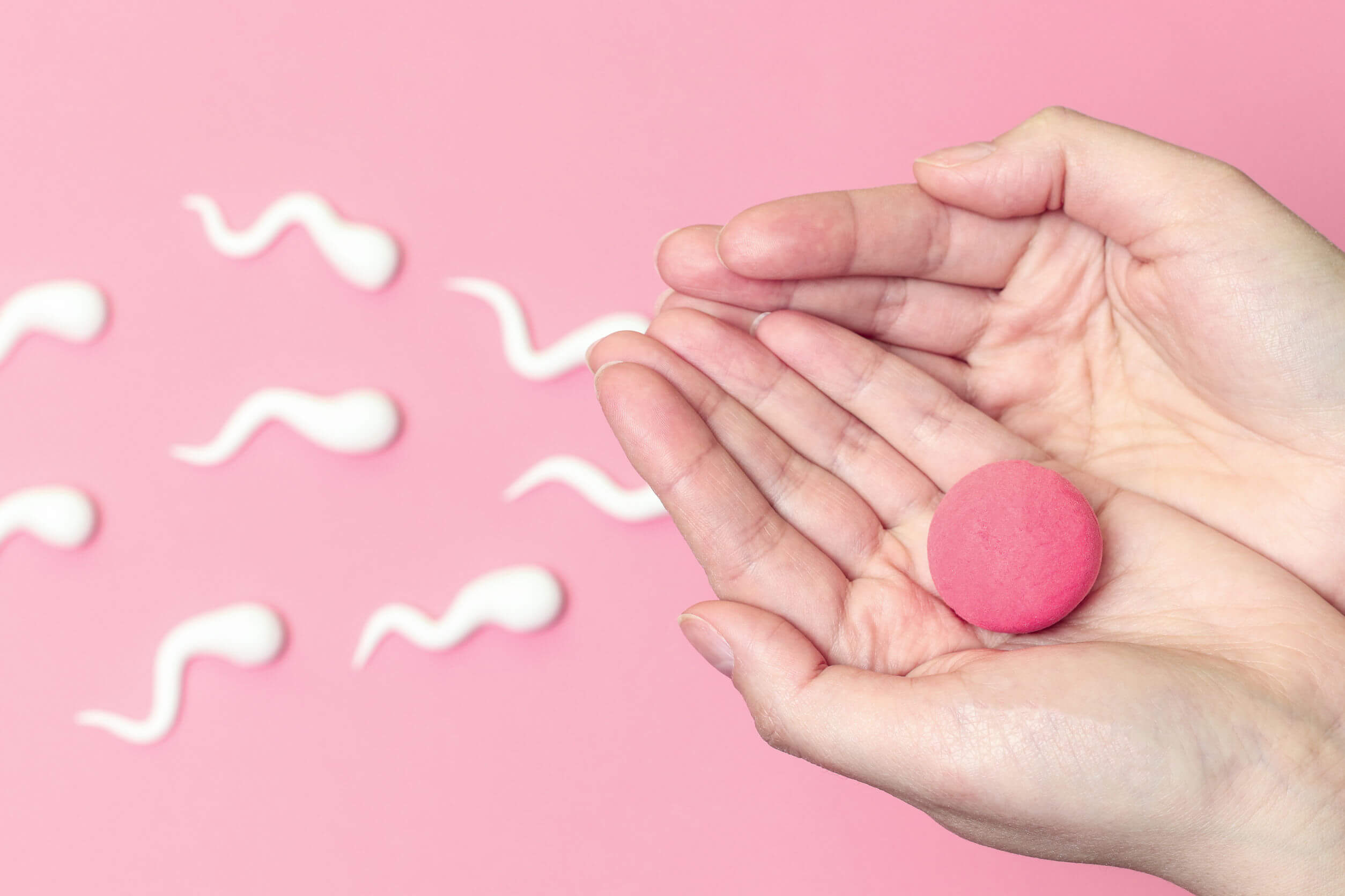 Cómo se concibe un bebé