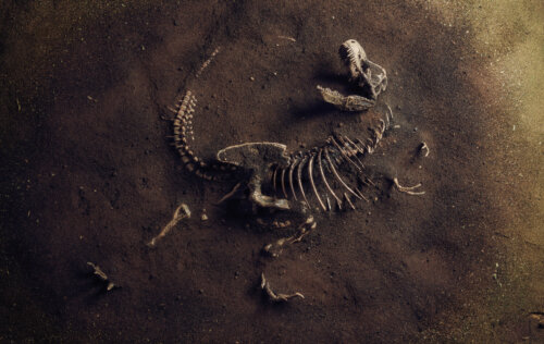 6 lugares para ver dinosaurios en España