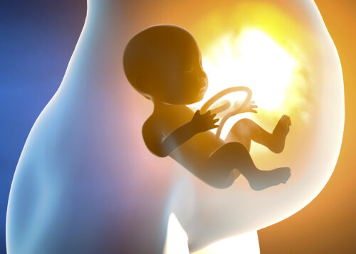 Microquimerismo fetal: cuando las células del bebé pasan a la madre