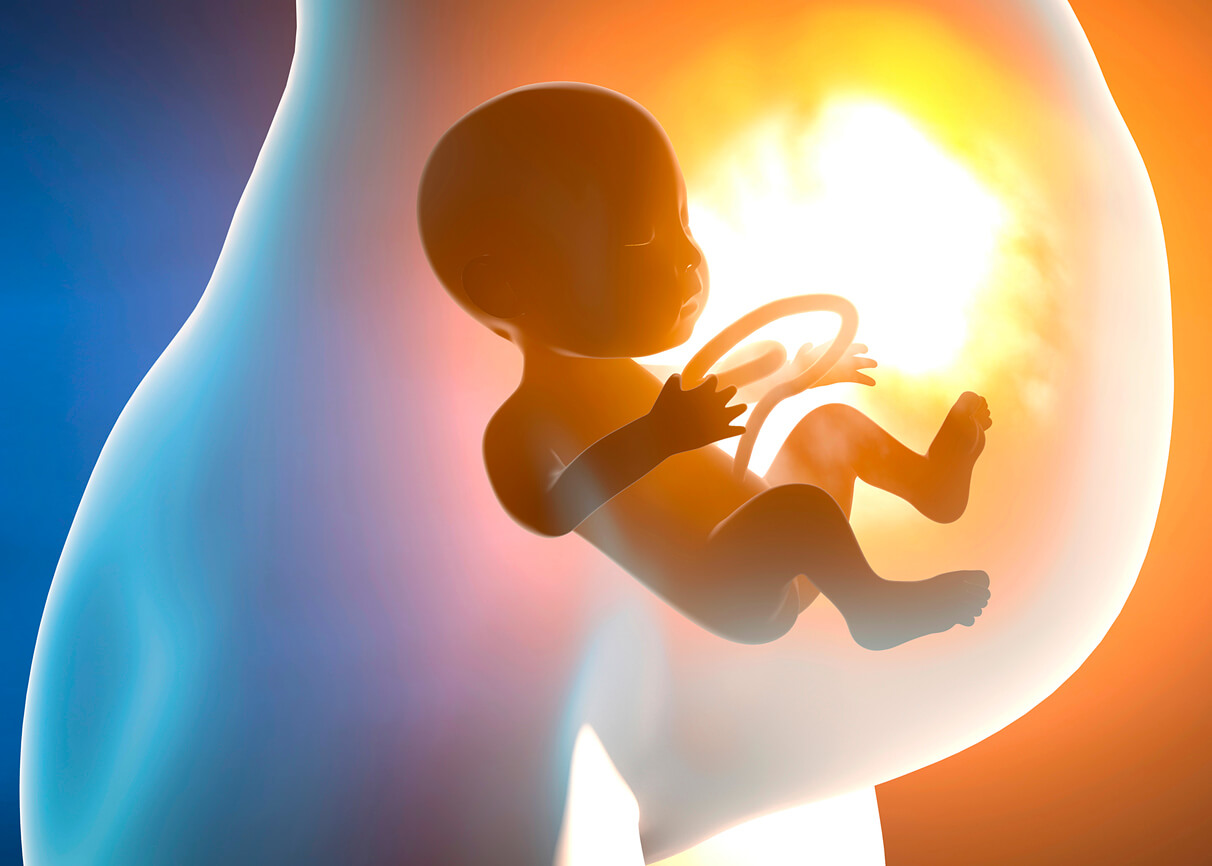Microquimerismo fetal: cuando las células del bebé pasan a la madre