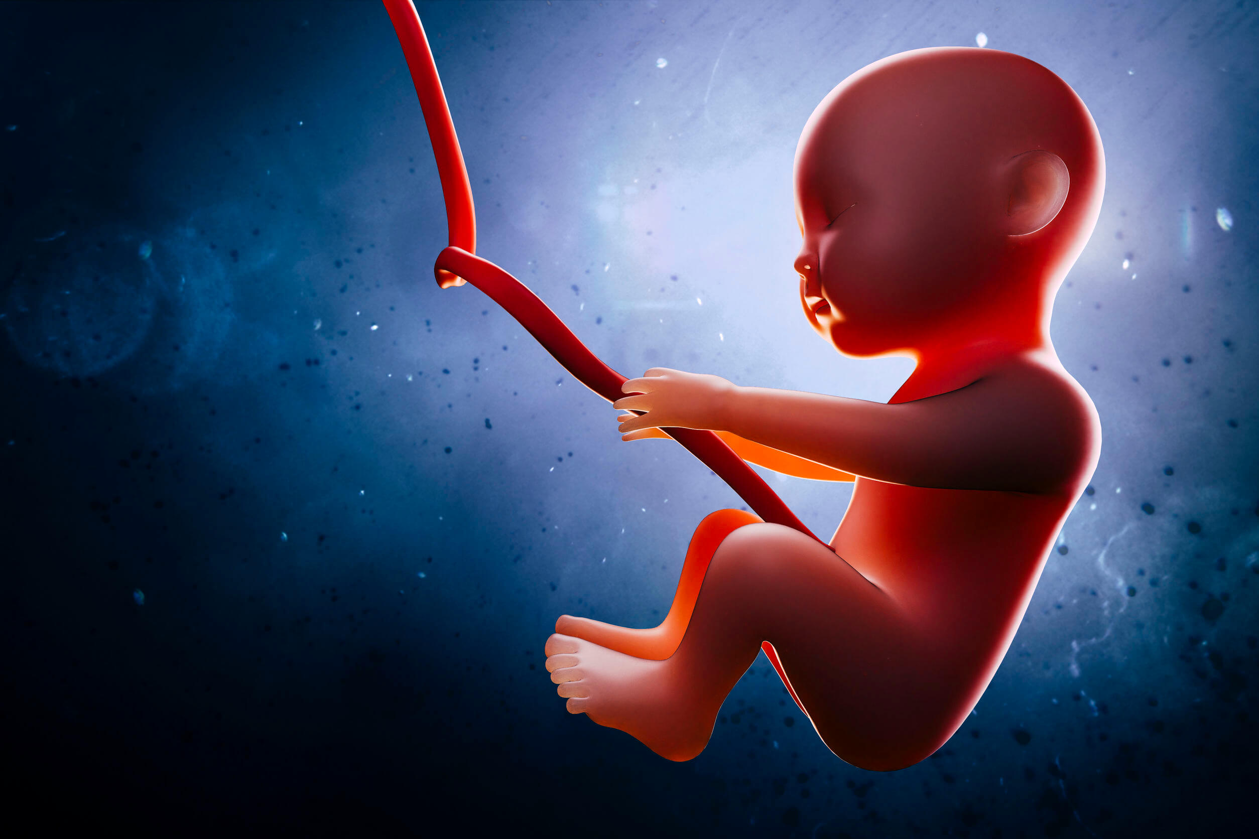 El hipo fetal se corresponde con el desarrollo normal del bebé.