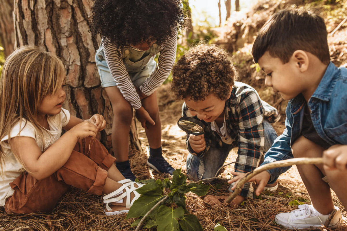 Niñas y niños explorando la naturaleza.