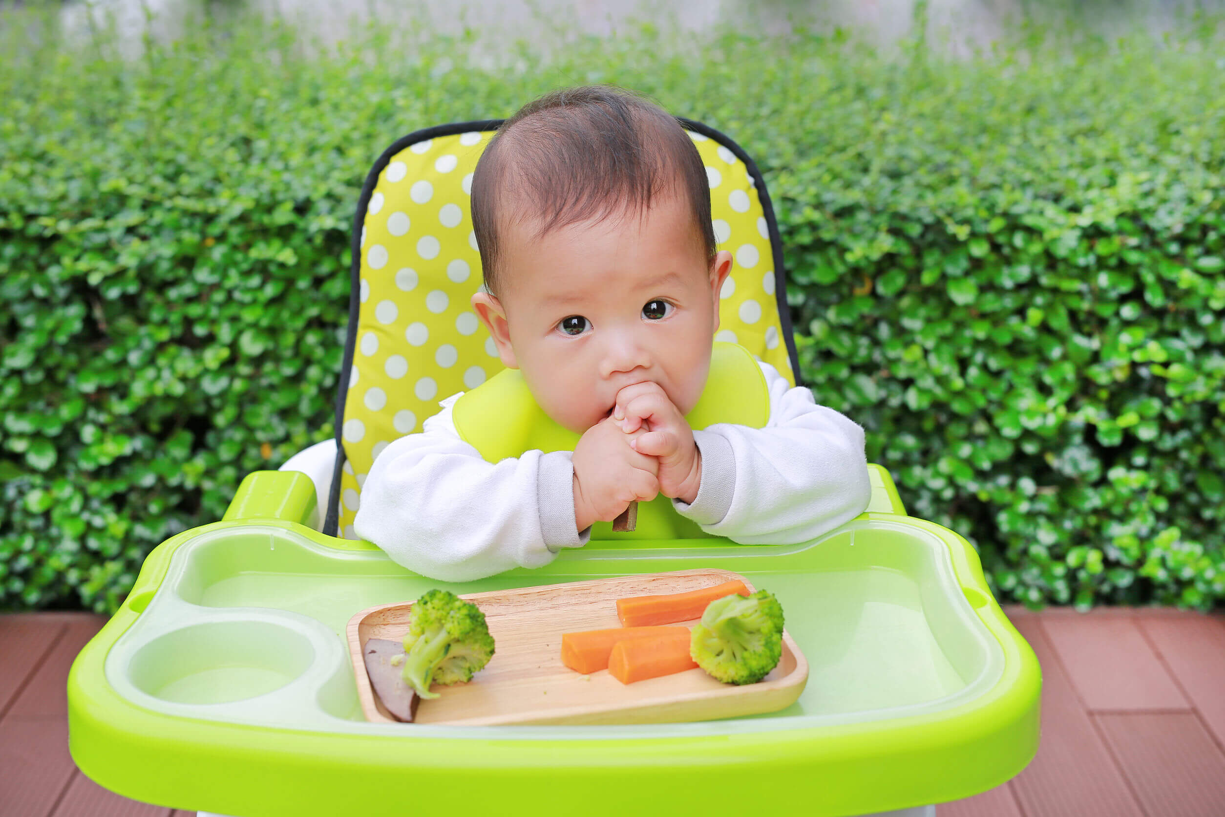 Enfant mangeant avec la méthode de sevrage dirigée par le bébé.