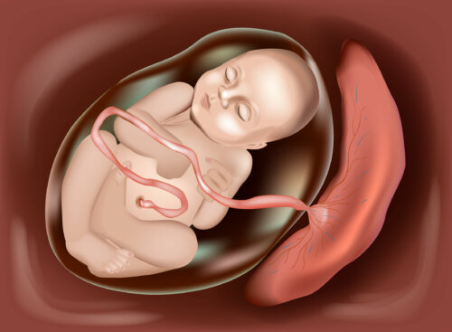 Placenta envejecida: qué es y cómo afecta al bebé