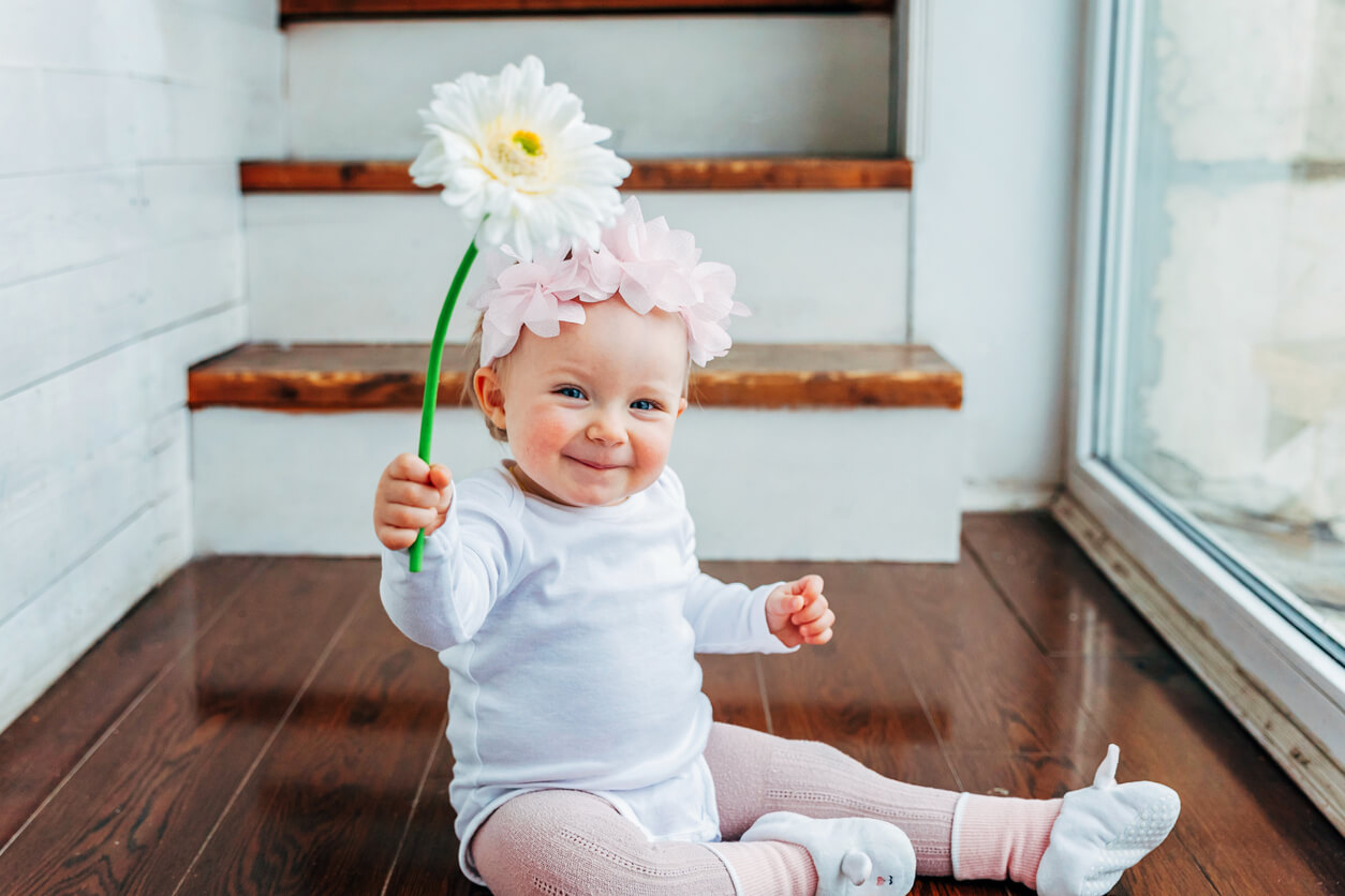 A baby girl sitting on a wooden floor, holding a white Gerber daisy and smiling.