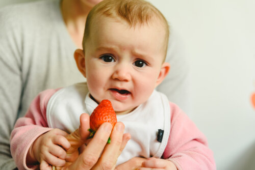 Niño comiendo un fresa mediante el blw.