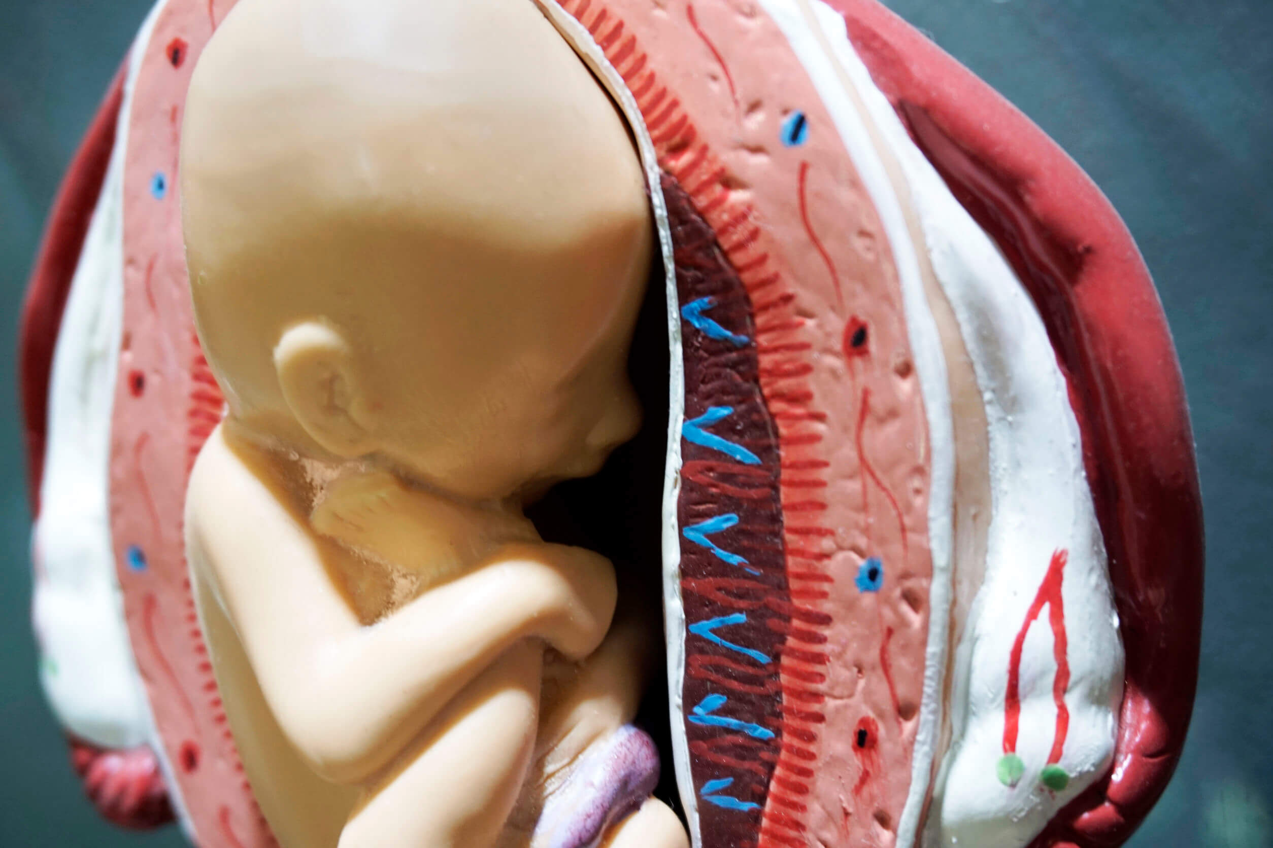 Saco gestacional: qué es y cuánto mide por semanas