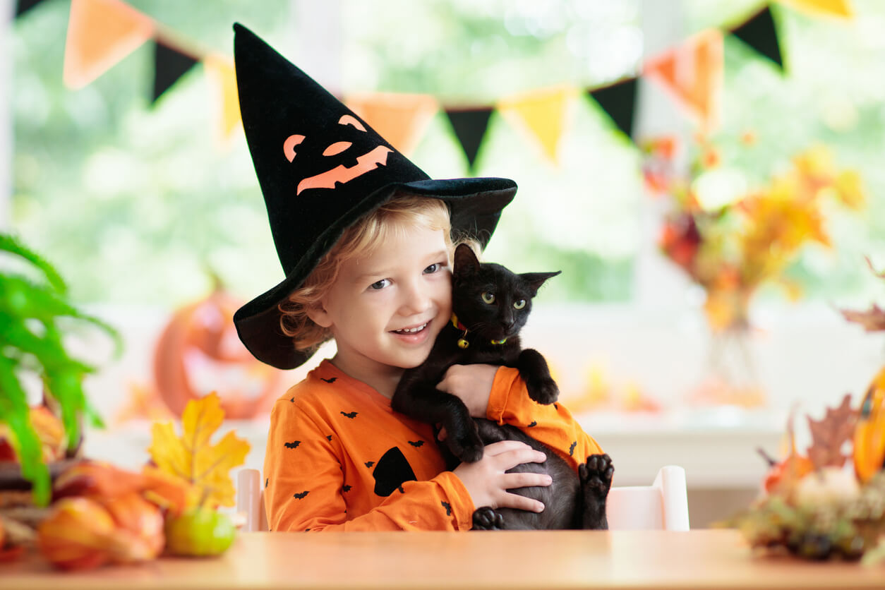 fiesta de halloween nino disfraz gorro sombrero gato negro bruja