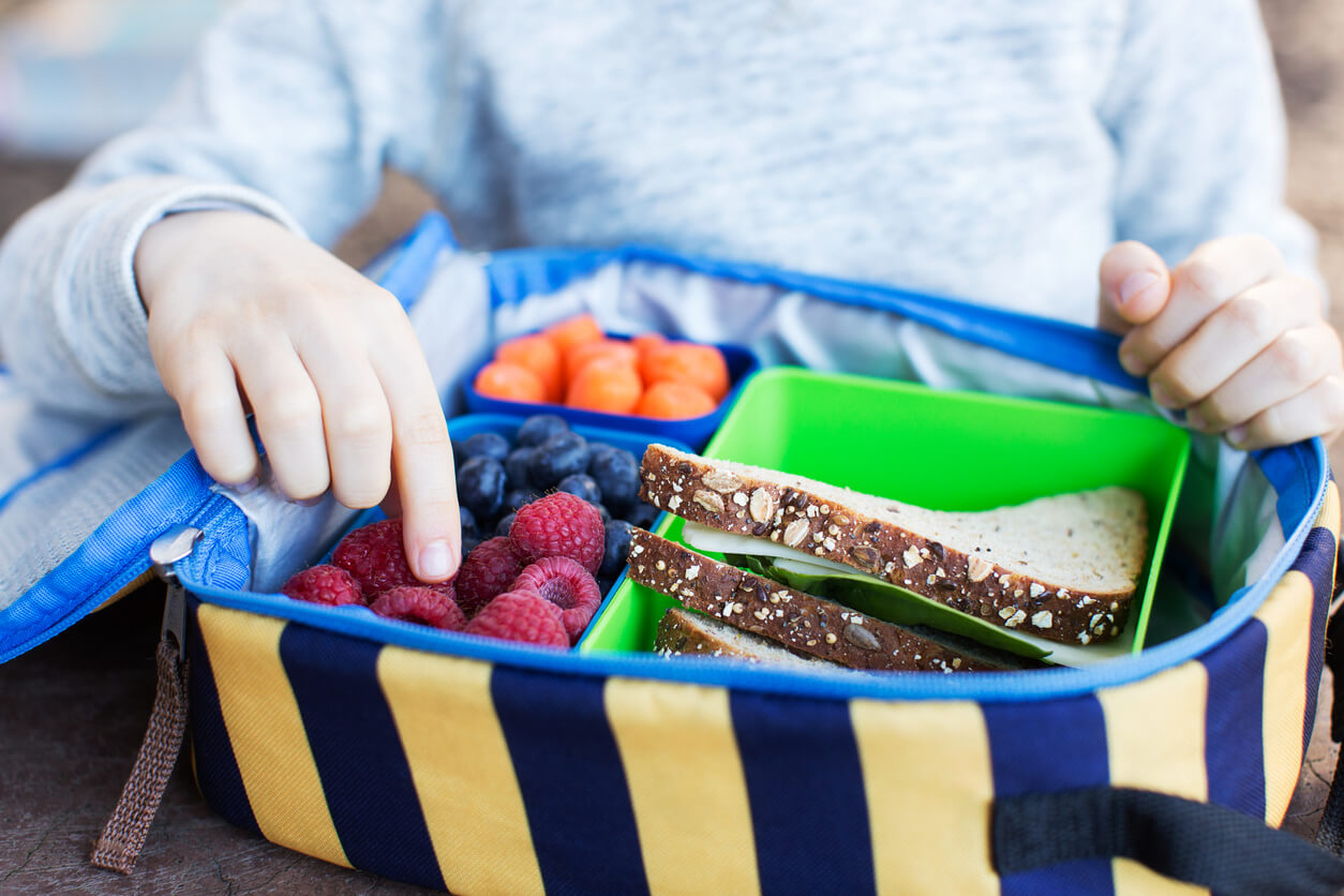 Enfant avec une boîte à lunch pleine de nourriture pour voyager.