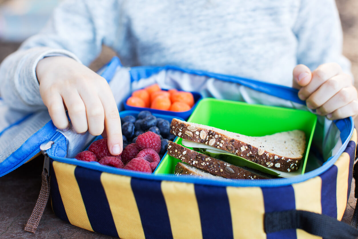 Niño con una tartera llena de comida para viajar.