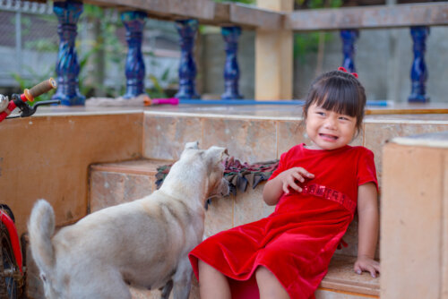 Niña con miedo a los perros.