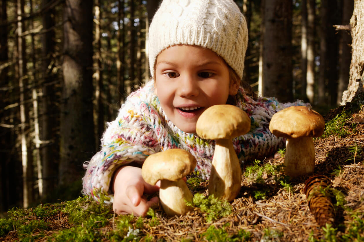 poison poison empoisonnement fille champignon herbe forêt main surprise danger accident blessure