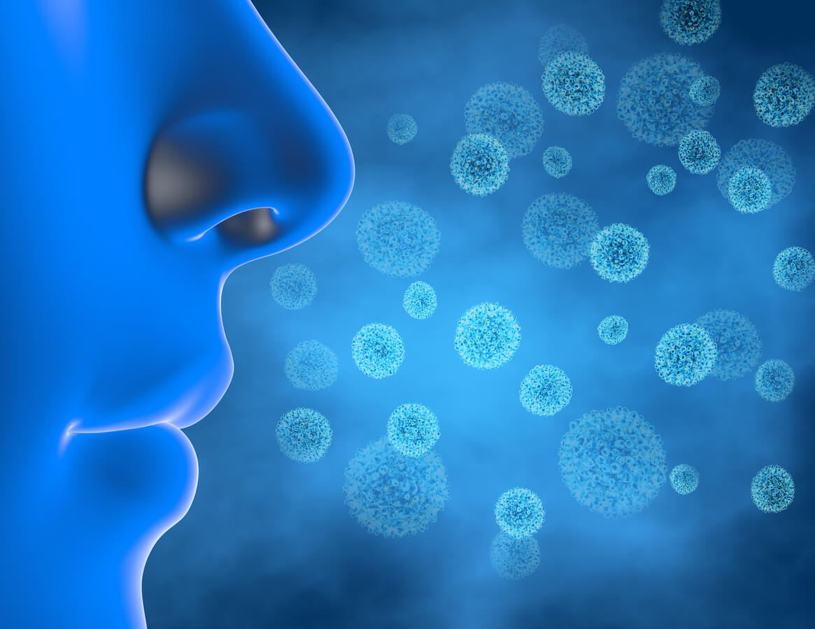 pollen allergène virus particule volatile air nez narine