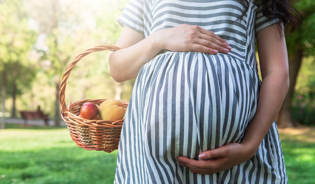 embarazada muje canasta picnic verano frutas alimentacion saludable cuidado enfermedades intoxicaciones