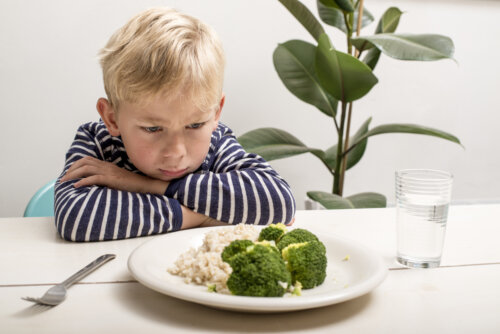 nino nene no quiere comer inapetente inapetencia fisiologica terribles dos neofobia perdida apetito plato brocoli coliflor